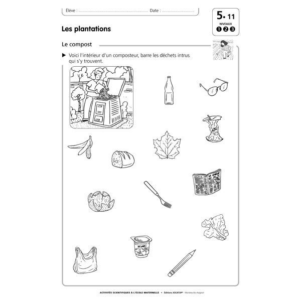 Fiche cp germination